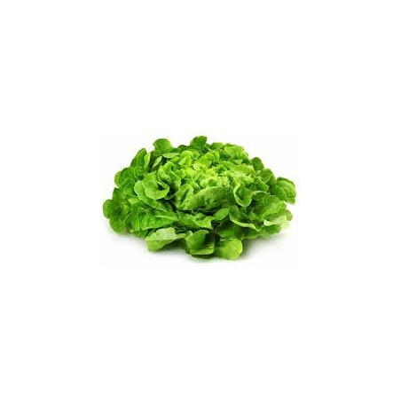 Salade
