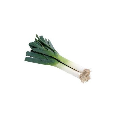 Poireaux